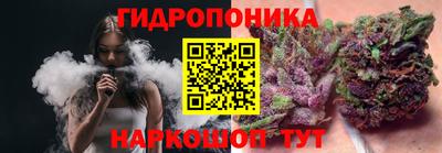 прущие крисы Кандалакша