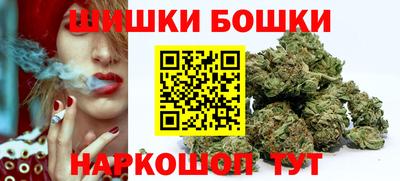 2c-b Камышлов